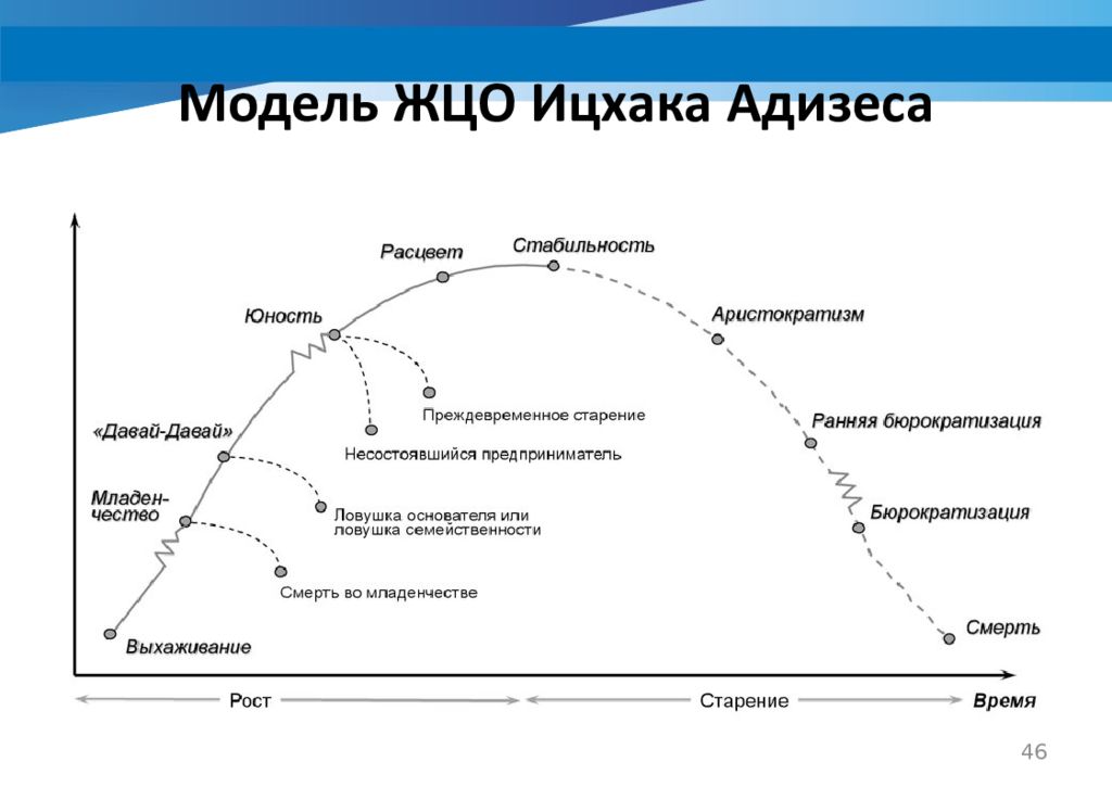 Адизес управление жизненным. Модель жизненного цикла Ицхака Адизеса. Ицхак Адизес жизненный цикл организации. Ицхак Адизес модель жизненного цикла организации. Ицхак Адизес стадии жизненного цикла организации.