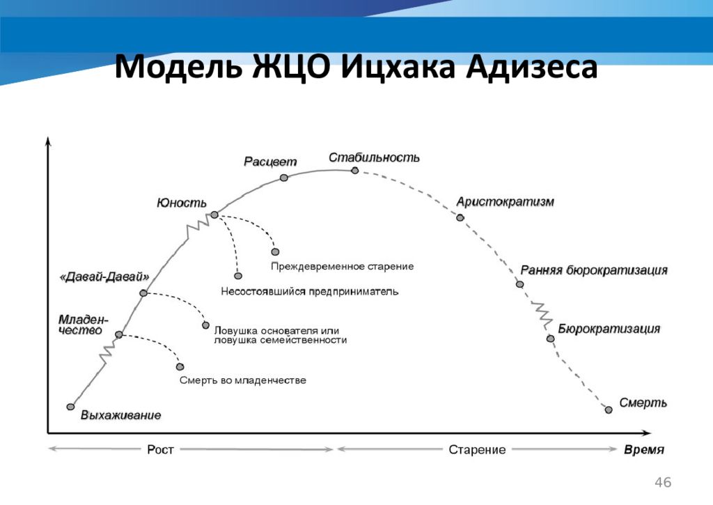 Жизненный цикл организации виды организаций