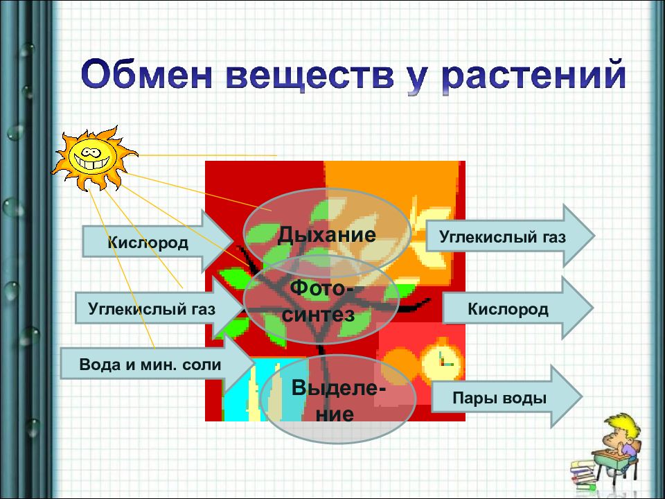 Обмен веществ и энергии 6 класс биология презентация