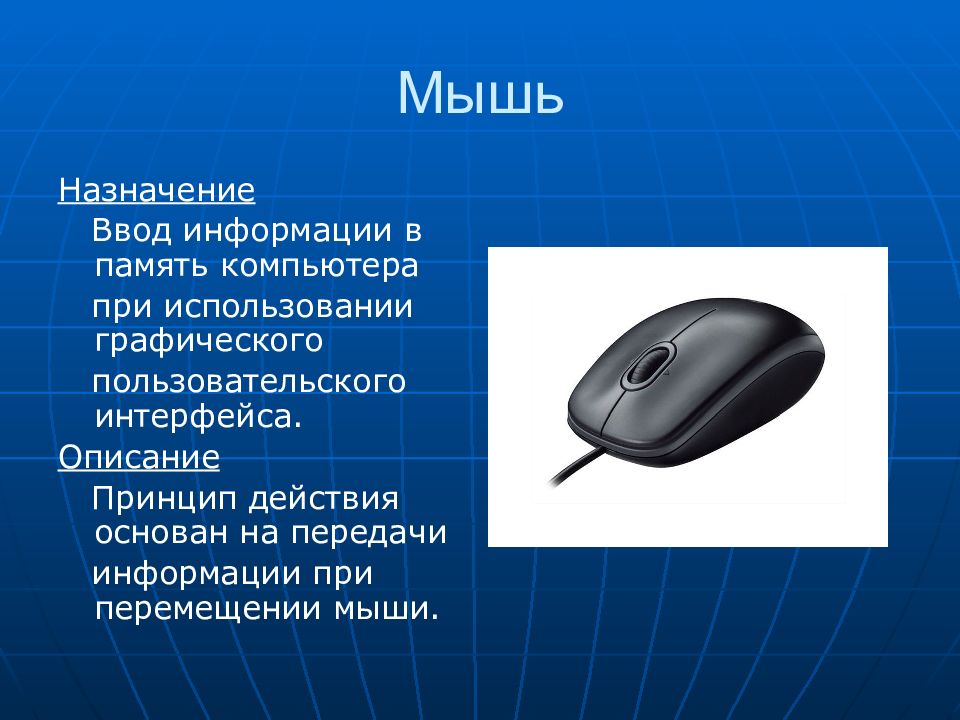 Рисунок мышь компьютерная информатика