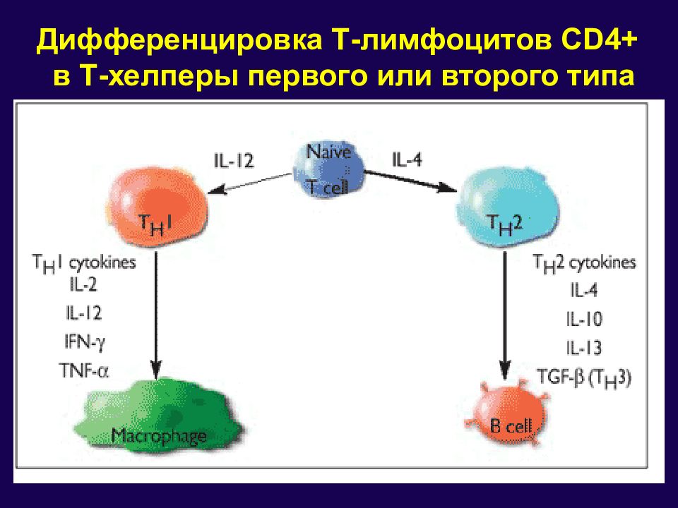 Заболевания цнс презентация