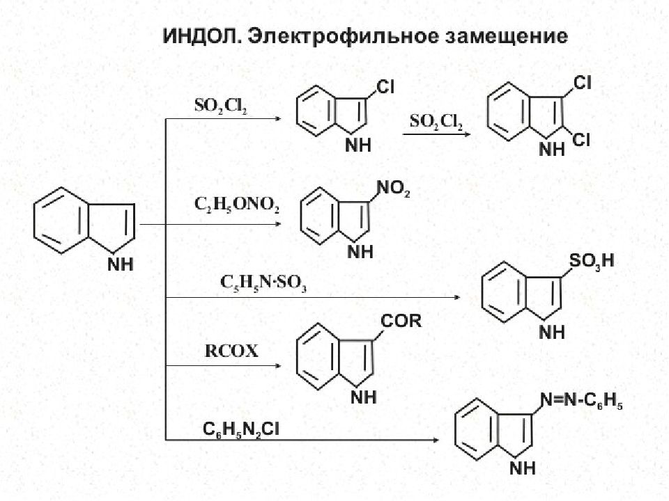 Гетероциклические соединения презентация 10 класс профильный уровень