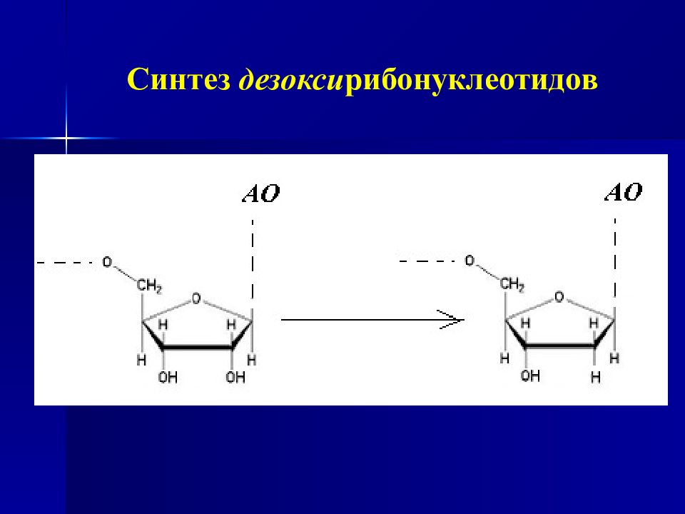 Синтез презентация. Схема синтеза дезоксирибонуклеотидов.