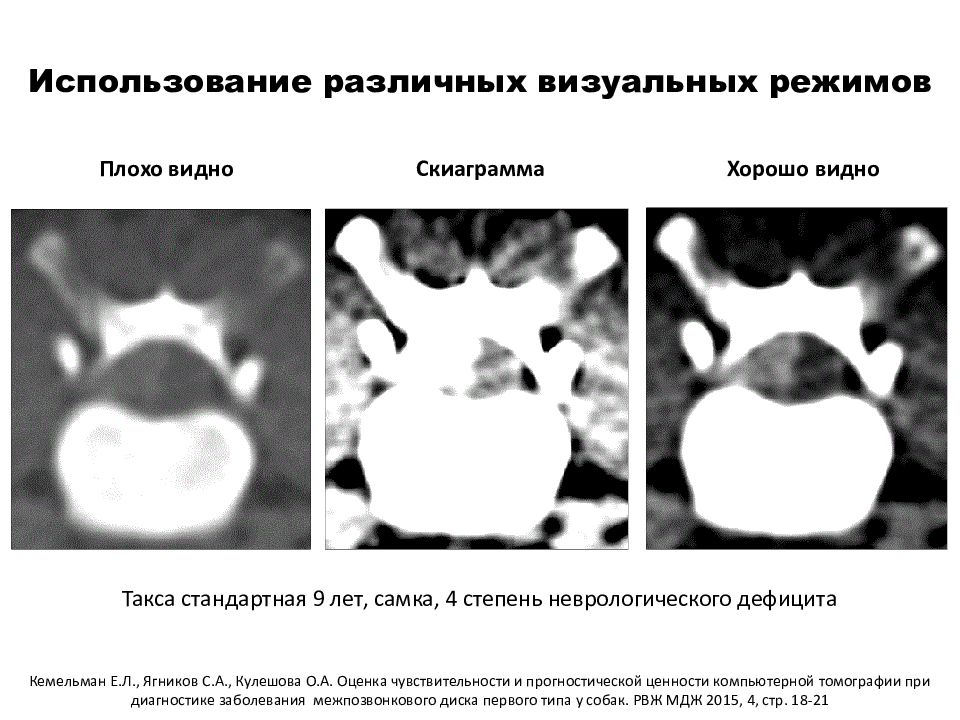 Неврологический дефицит у собак