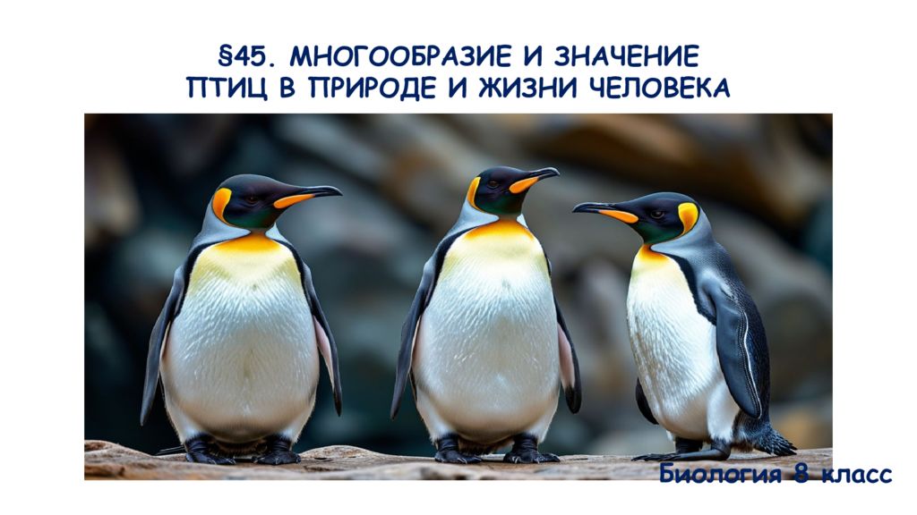 45. МНОГООБРАЗИЕ И ЗНАЧЕНИЕ ПТИЦ В ПРИРОДЕ И ЖИЗНИ ЧЕЛОВЕКА Биология 8 класс