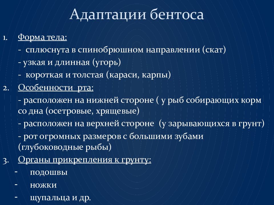 Адаптация 14. Экологические группы гидробионтов. Приспособления гидробионтов. Экологические группы гидробионтов таблица. Гидробионты бентос.