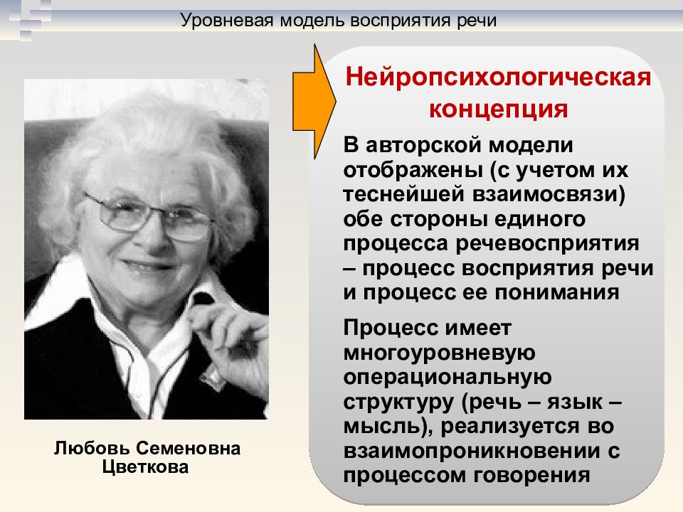 Модель восприятия. Модель процесса восприятия. Процесс понимания осмысления речи это. Модели восприятия речи. Цветкова любовь Семеновна.