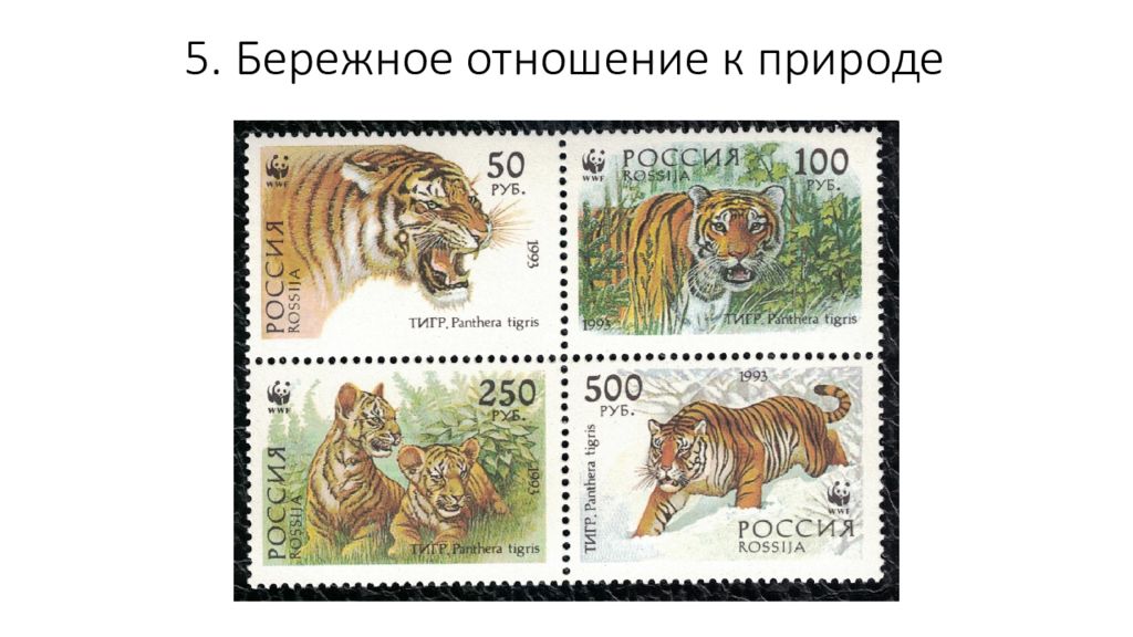 5. Бережное отношение к природе