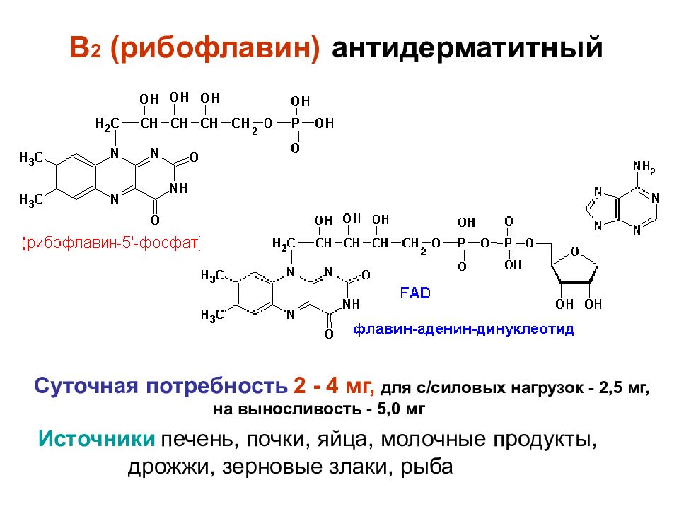 Синтез витамина б