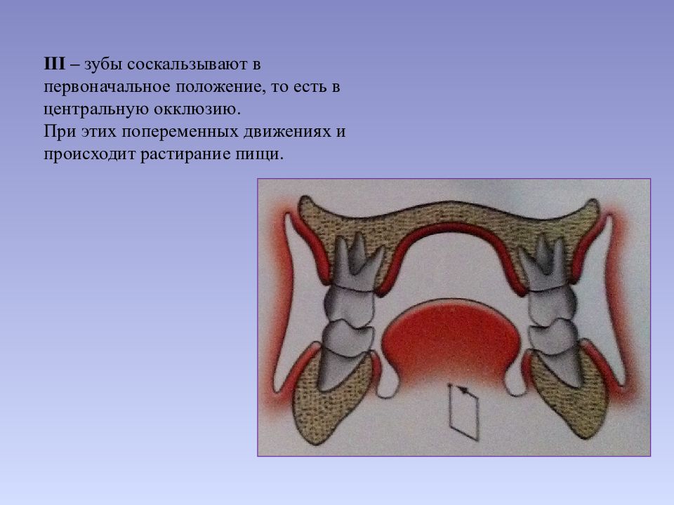 Центральная окклюзия и центральное соотношение челюстей презентация