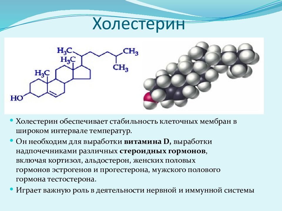 Презентация по органике