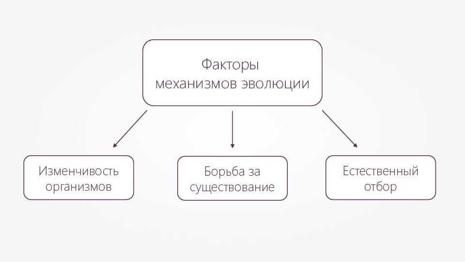 Механизмы эволюции