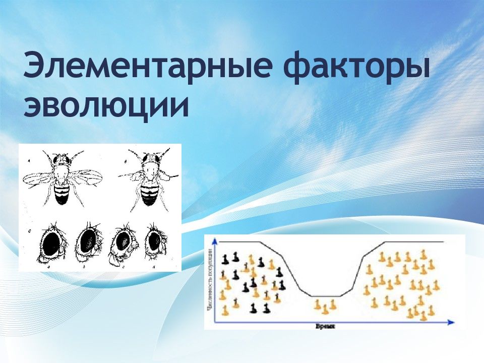 Факторы эволюции презентация