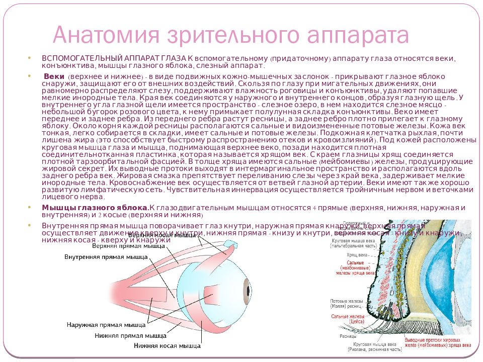 Заболевание аппарата