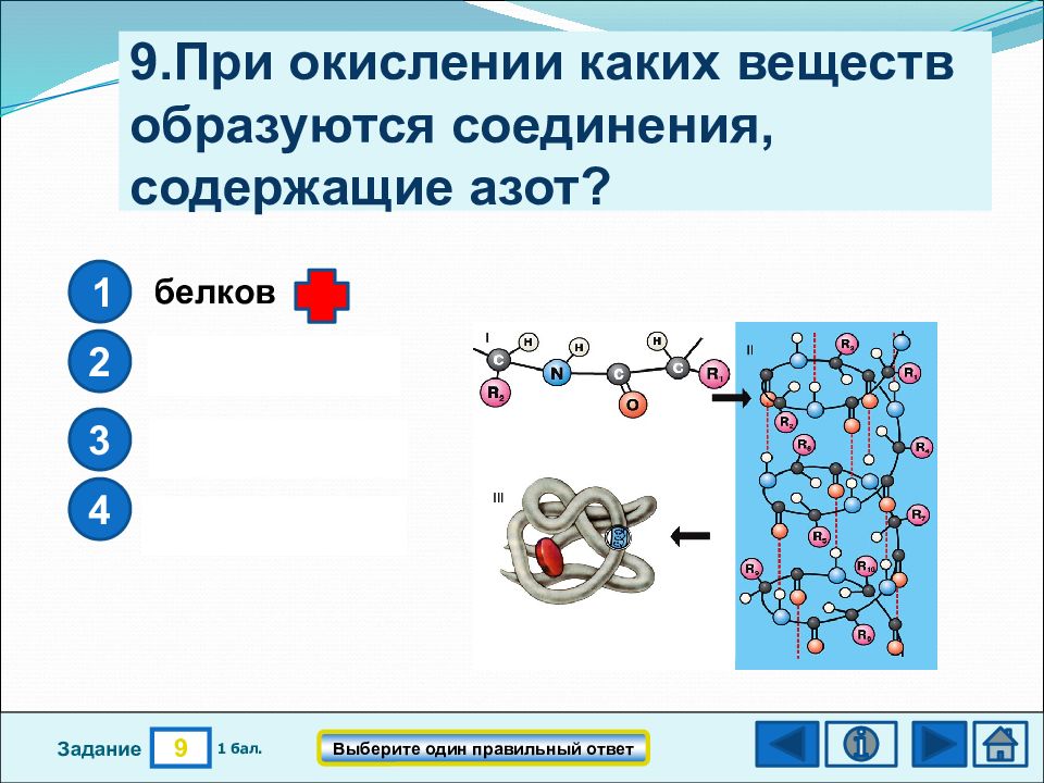 Азот белки