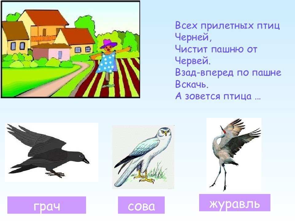 Загадки про птиц 4 года. Загадка про перелетных птиц для детей 5-6. Загадки про перелетных птиц. Загадки про перелетных птиц для детей. Стихи про птиц для детей.