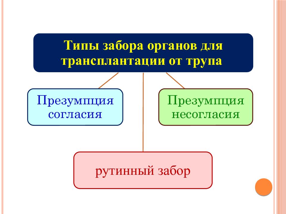 Презентация биоэтика трансплантация