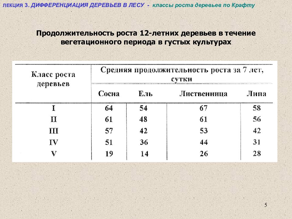 Классы возраста. Классы крафта деревьев. Классификация деревьев по росту по крафту. Дифференциация деревьев по крафту. Дифференциация деревьев в лесу.