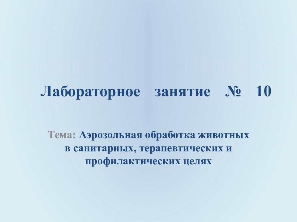 Лабораторное занятие № 10