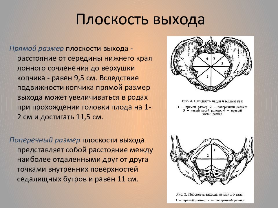 Размеры плоскости