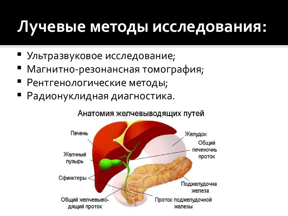 Лучевая диагностика желчевыводящих путей презентация