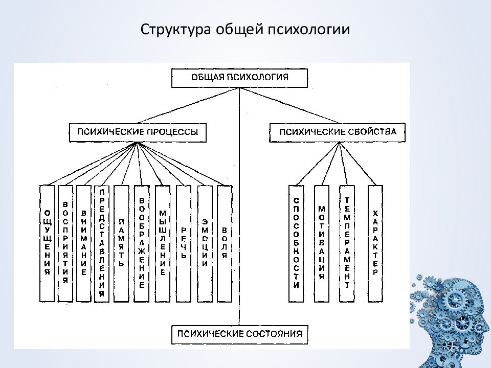 Структура психологии схема