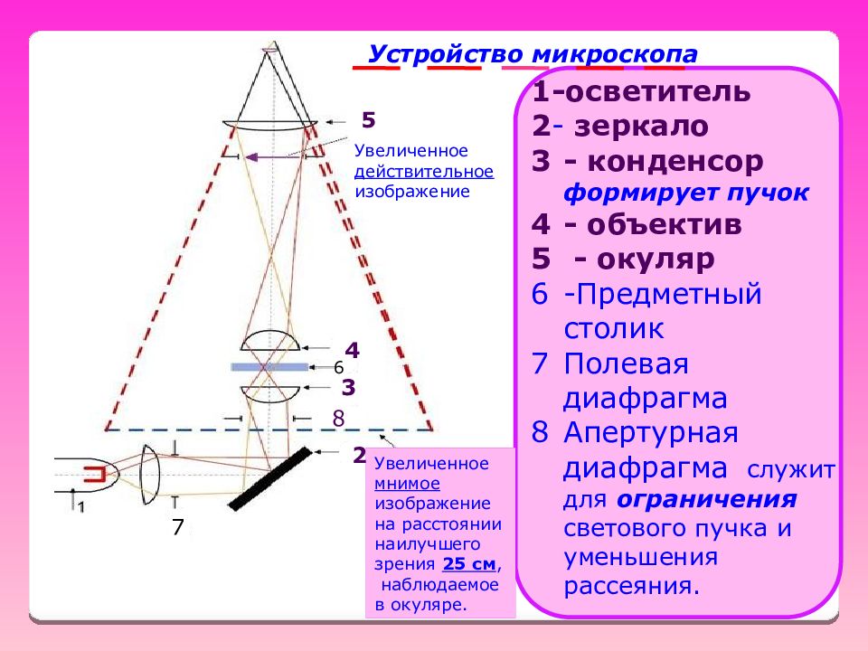 Объектив микроскопа рисунок. Устройство объектива микроскопа. Осветитель конденсор для микроскопа. Устройство микроскопа с зеркалом. Устройство микроскопа конденсор.