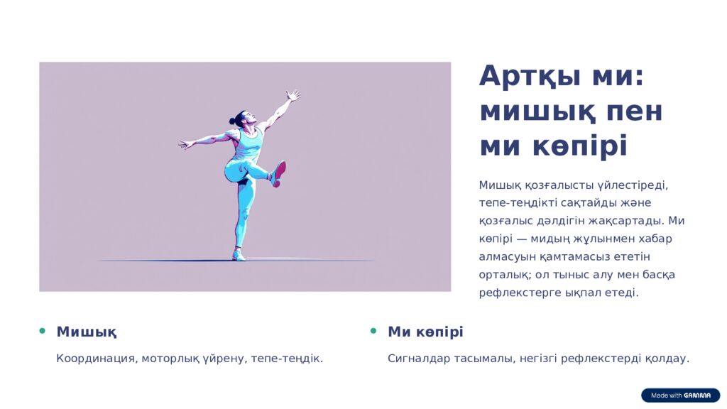 Ми бөлімдері: 7-сынып биологиясы Бұл презентация ми бөліктерінің құрылымы мен