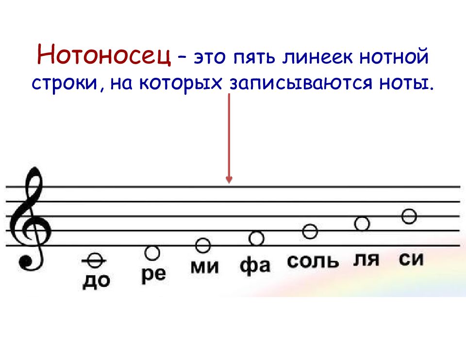 Нотоносец с нотами картинки