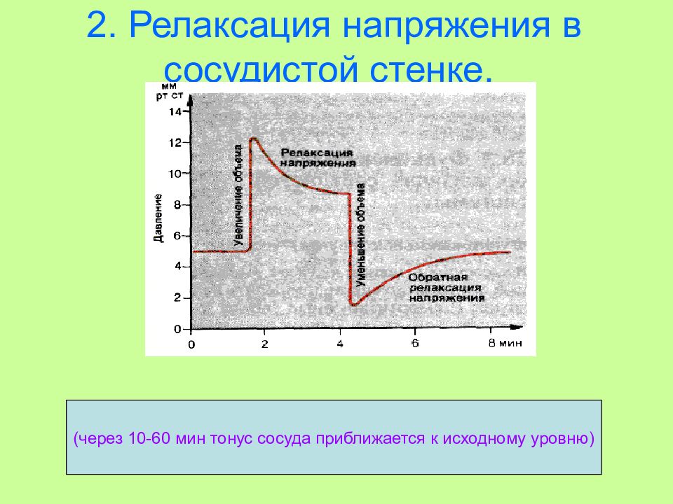 Механизм релаксации напряжения сосудов. (кривые релаксации напряжения. Механизм релаксации напряжения сосудов. Релаксация напряжений. Кривая релаксации напряжения.