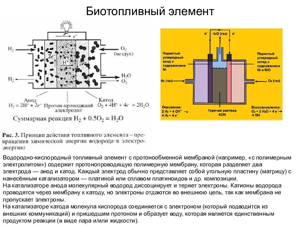 Водородный элемент. Топливный элемент с протонообменной мембраной. Водородный топливный элемент с протонообменной мембраной. Топливный элемент на катоде и аноде. Топливный элемент с протонообменной мембраной принцип действия.