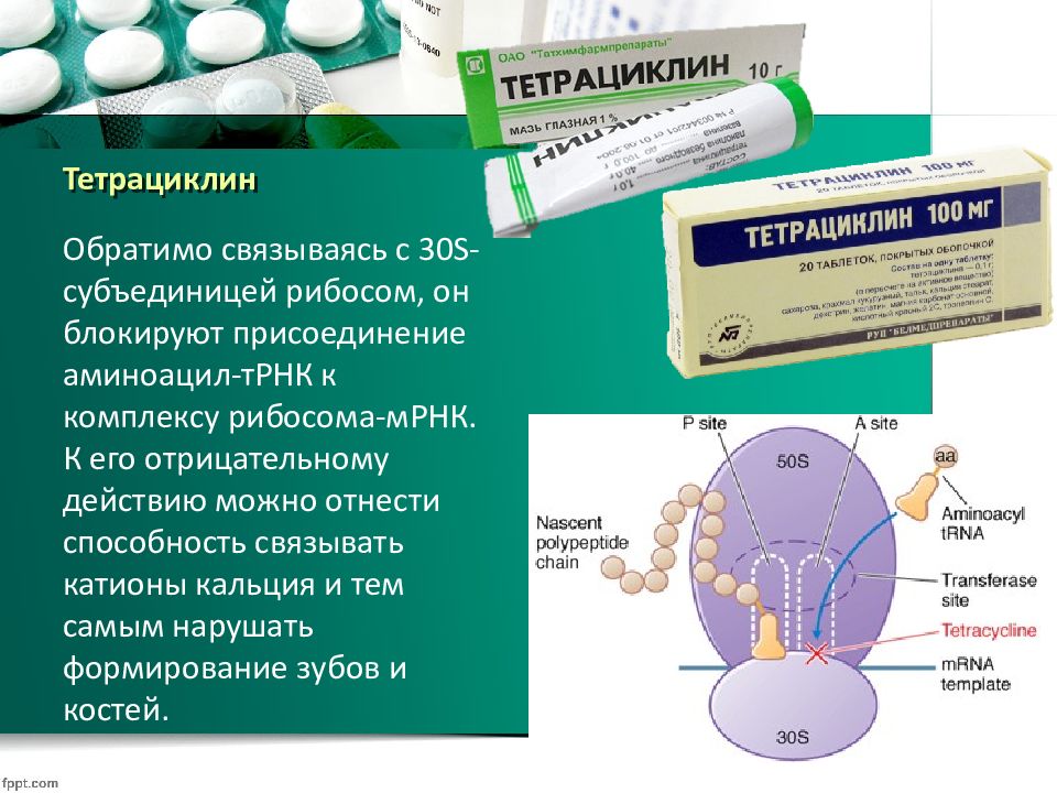 Тетрациклины фармакология презентация