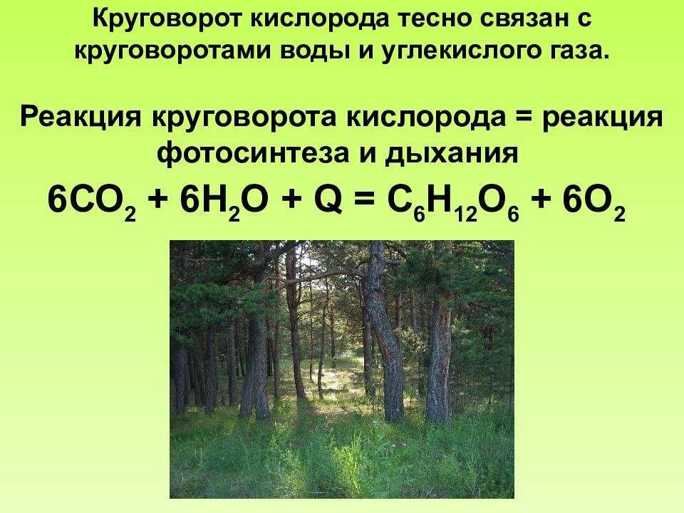 Кислород химическая природа