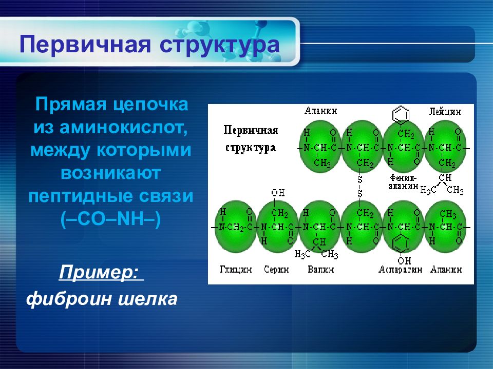 Функция первичной структуры. Цепочка из аминокислот. Роль первичной структуры. Фиброин шелка структура. Первичная структура в Бразилии.