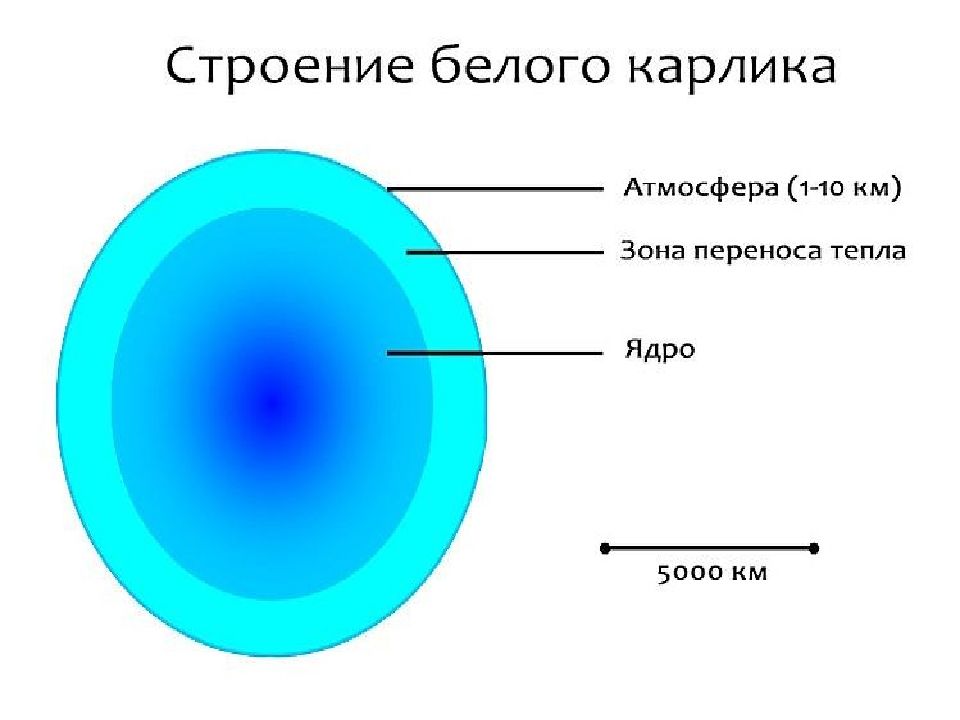 Структура белого