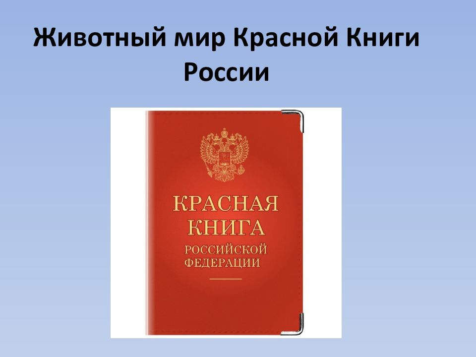 Животный мир Красной Книги России