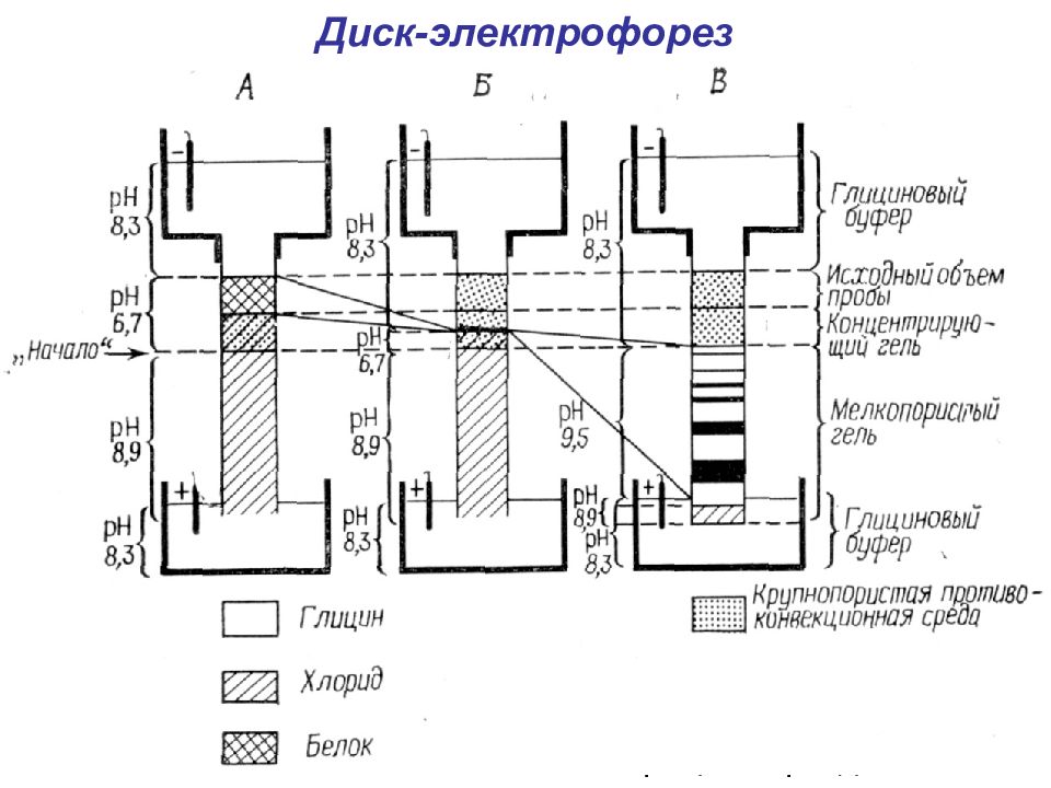 Электрофорез песни аккорды