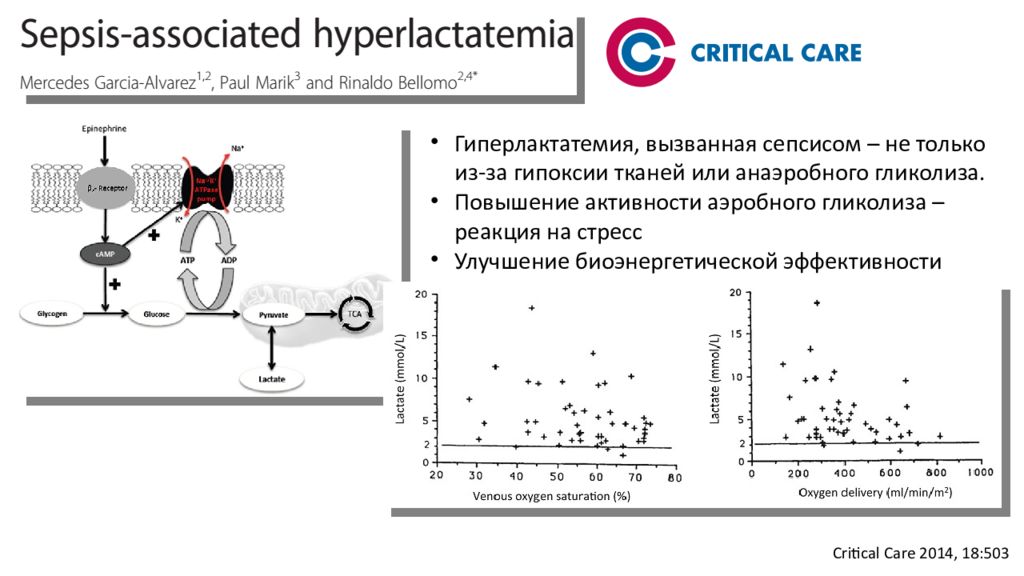 Пороговый уровень лактата. Лактат при сепсисе. Лактат уровень лактата. Клиренс лактата. Лактат повышен.