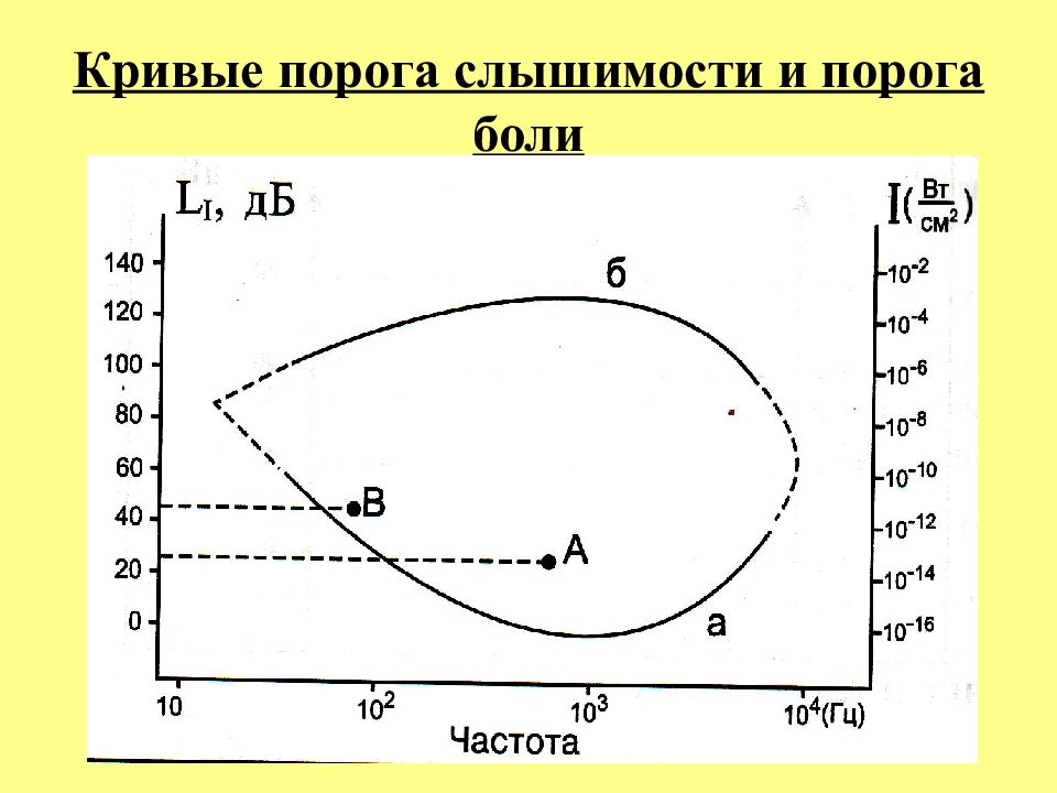 Порог слышимости. Кривая порога слышимости. Кривые порогов слышимости. Кривые равной слышимости. Кривые порога слышимости и болевого порога.