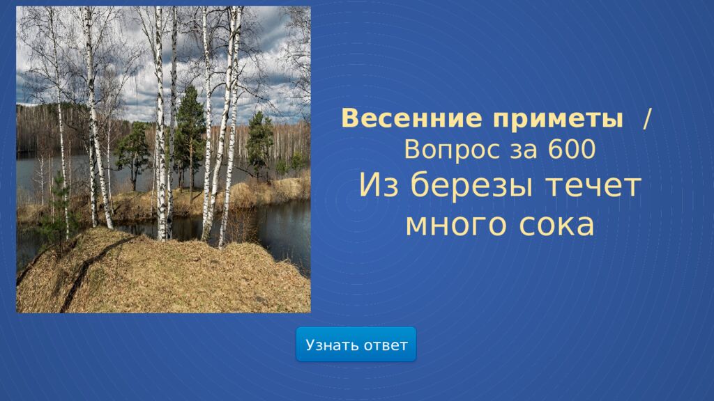 Мир весенней природы