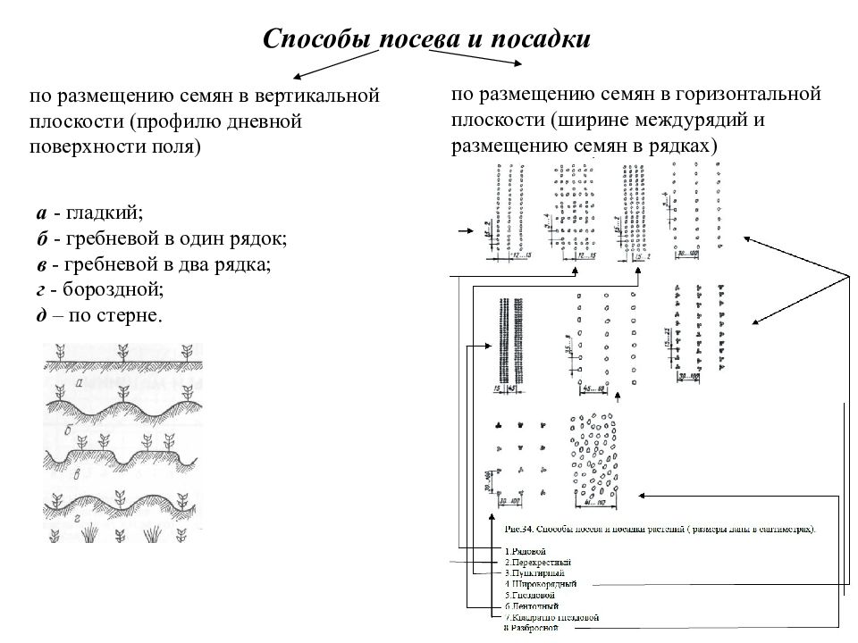 Способы посадки. Рядовой способ посева схема. Узкорядный способ посева схема. Механизированные способы посева семян. Схема посева и посадки сельскохозяйственных культур.