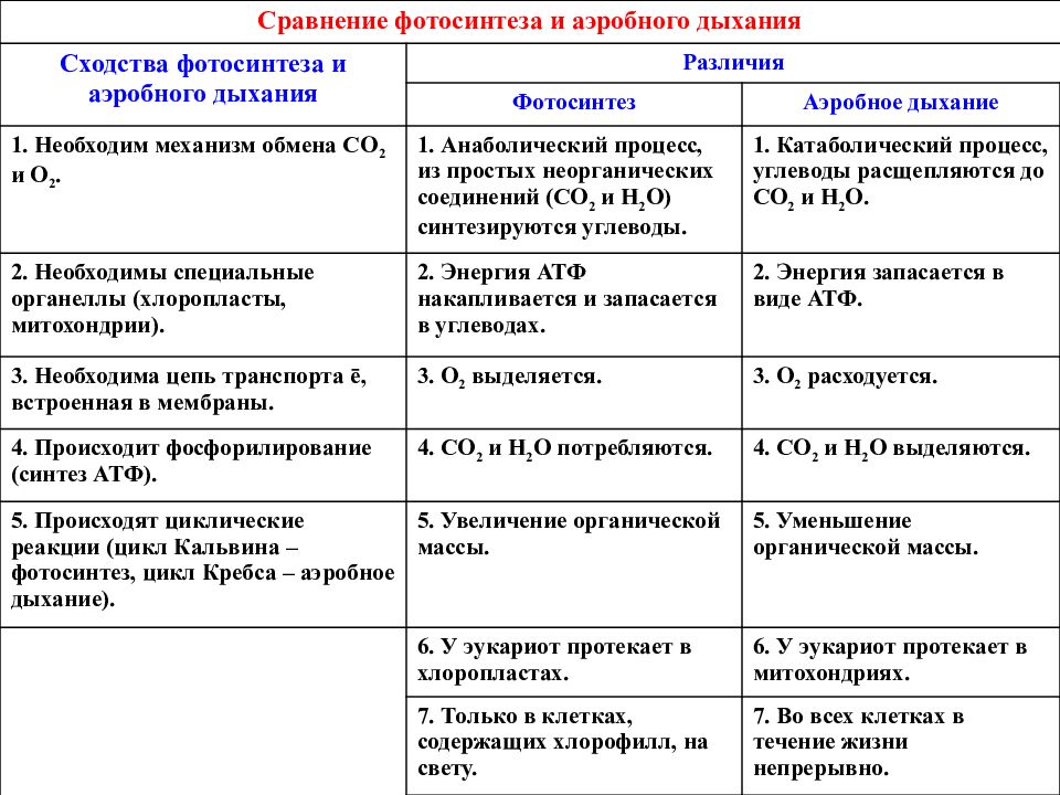 Процессы синтеза в живых клетках 11 класс презентация урока