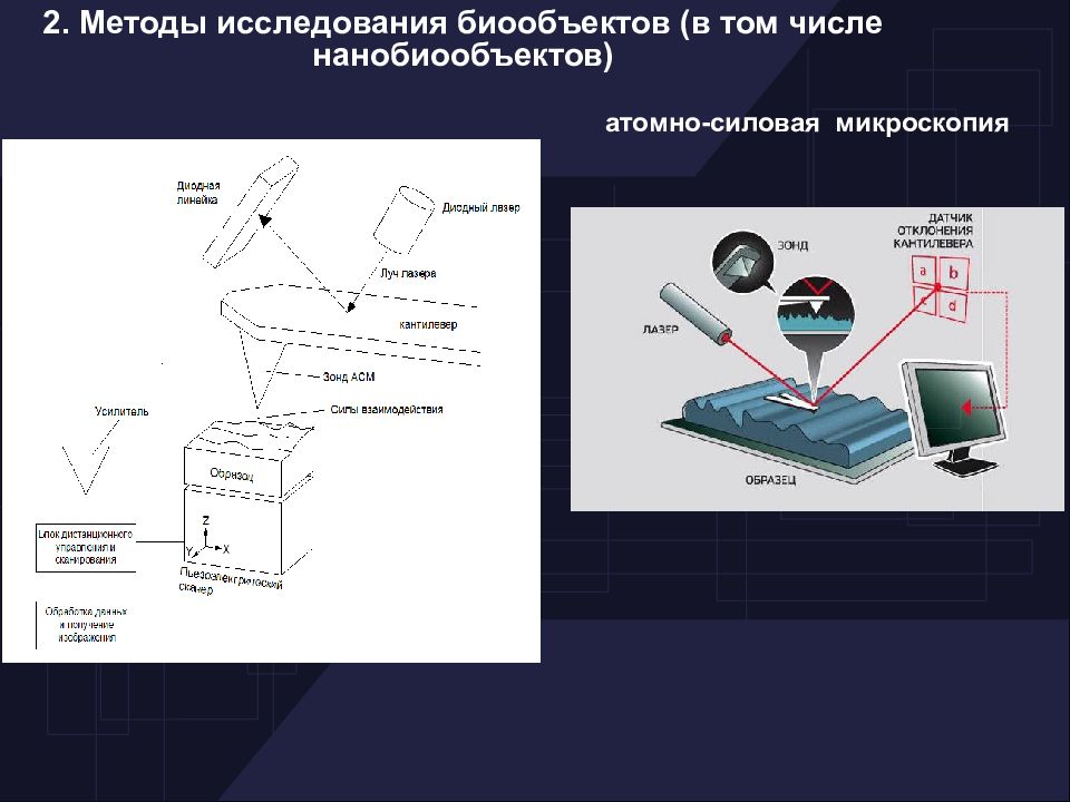 В атомно силовом микроскопе изображение поверхности исследуемого образца получают за счет