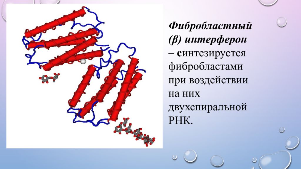 Интерферон это. Фибробластный интерферон. Интерферон синтезируется. Природа интерферона. Презентация на тему интерферон.