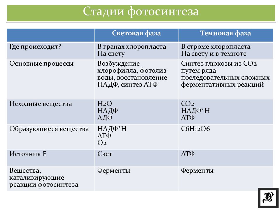 Степень тонового различия между областями изображения