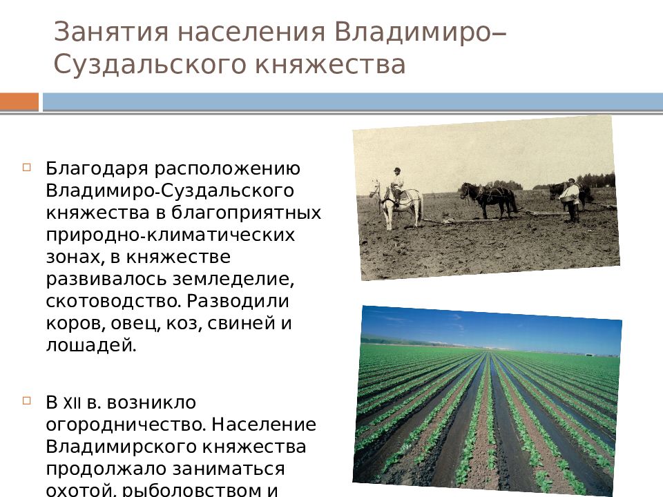 Занятие населения промышленности. Занятия населения Владимиро-Суздальского княжества. Хозяйство занятия жителей Владимиро-Суздальского княжества. Основные занятия населения Владимиро-Суздальского княжества. Основные занятия населения Владимиро Суздальского.