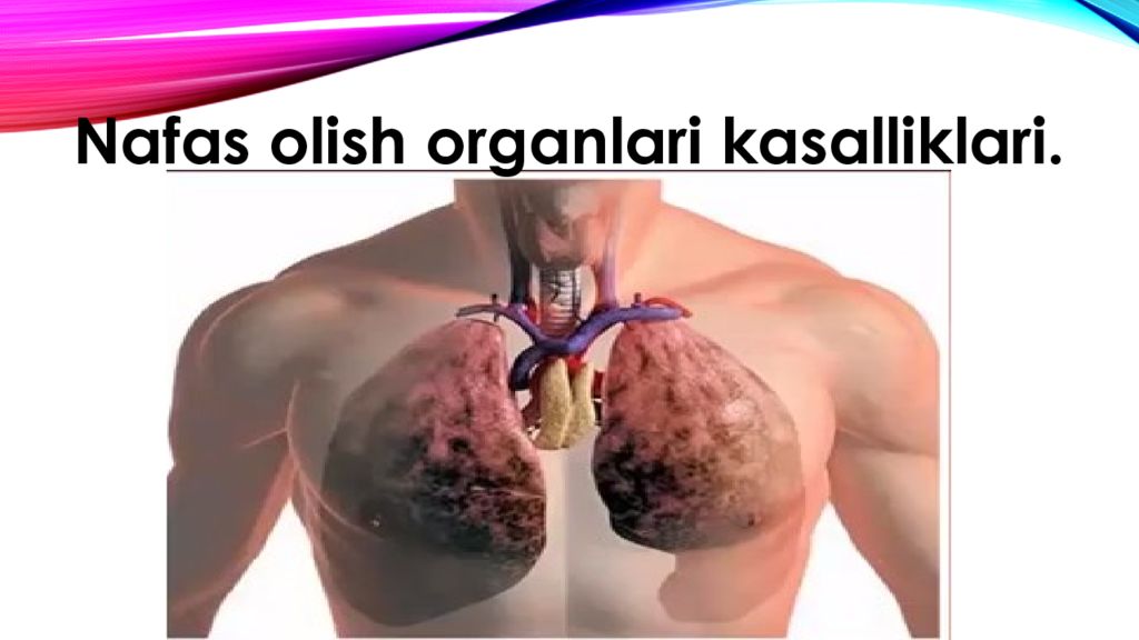 nafas olishning boshqarilishi. Nafas olish organlari kasalliklari nafas olishning boshqarilishi. Nafas olish organlari kasalliklari