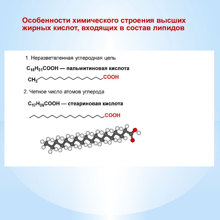Липидов кислота. Омыляемые липиды химическая структура. Природные жирные кислоты структурные компоненты омыляемых липидов. Высшие жирные кислоты входящие в состав омыляемых липидов. Непределные высшие жирные кислоты, входящие в состав омыляемых липид.