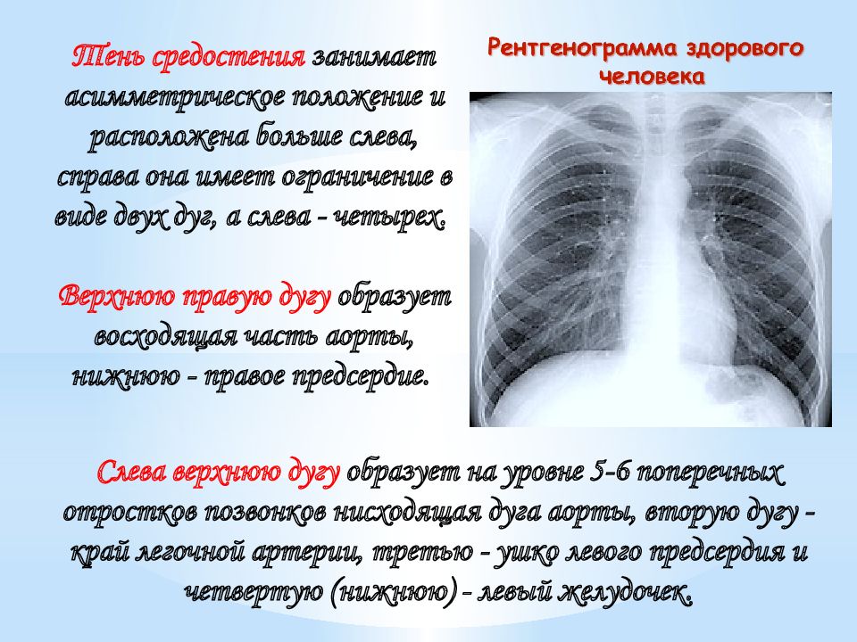 Курс фтизиатрии