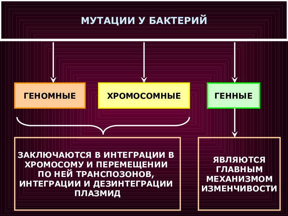 Виды мутаций картинки